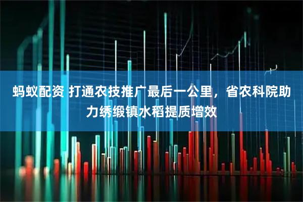 蚂蚁配资 打通农技推广最后一公里，省农科院助力绣缎镇水稻提质增效