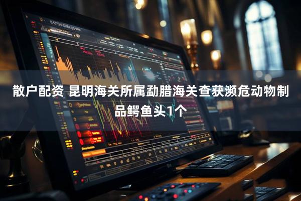 散户配资 昆明海关所属勐腊海关查获濒危动物制品鳄鱼头1个