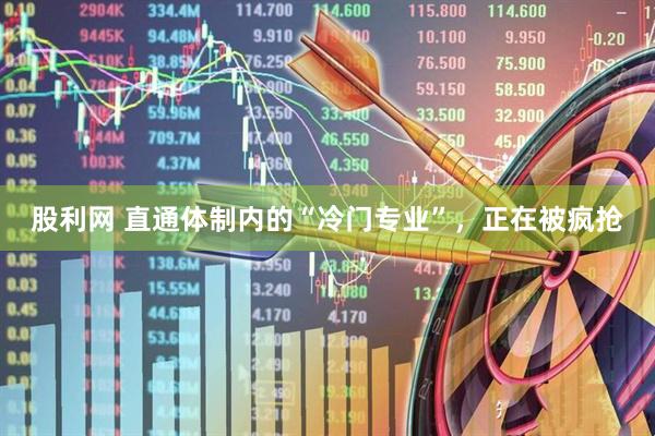 股利网 直通体制内的“冷门专业”,正在被疯抢